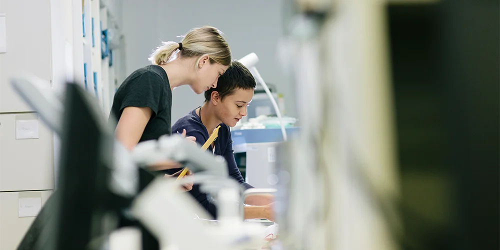 Ausbildung nach dem Studium: Gründe, Tipps und Finanzierungsmöglichkeiten / MLP Financify / Auszubildende beim Arbeiten