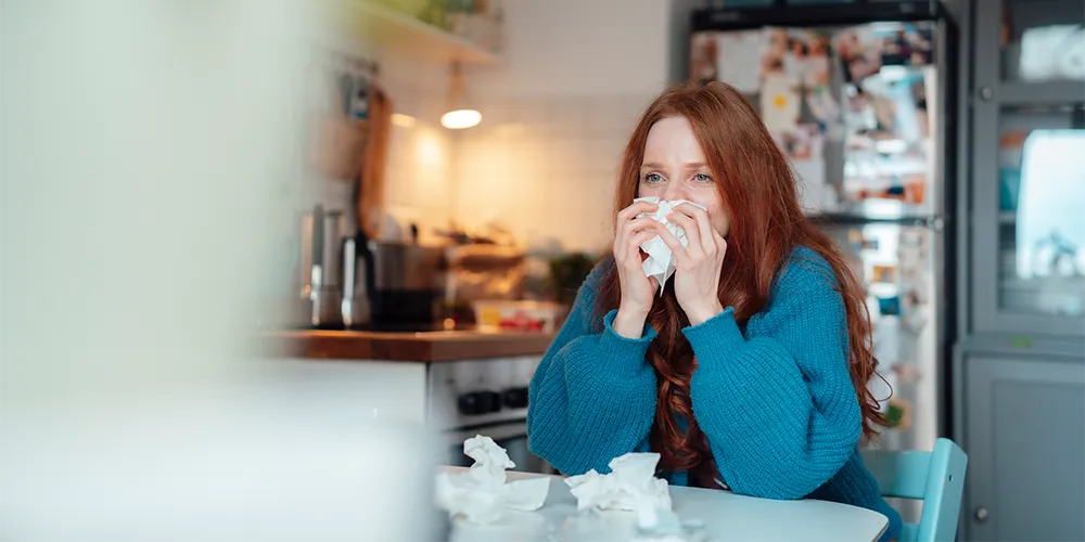 Erkältungssaison / MLP Financify / Kranke Studentin mit Erkältungssymptomen niest in ein Papiertaschentuch, während sie am Küchentisch sitzt.