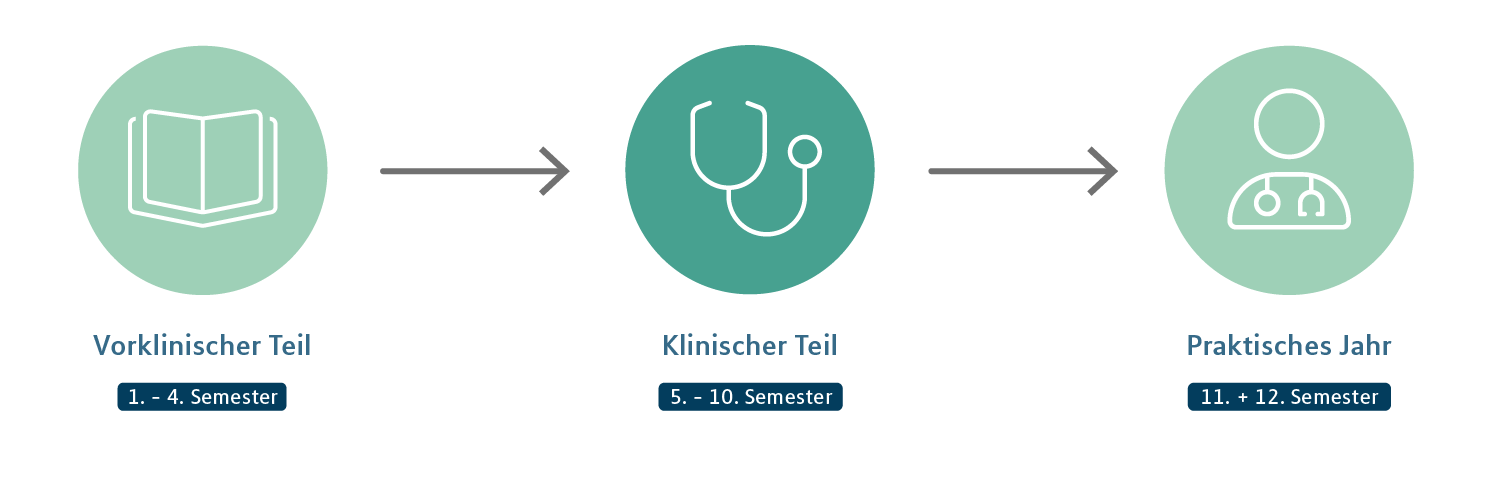 Humanmedizin: Klinischer Teil, Icons als Zeitstrahldarstellung