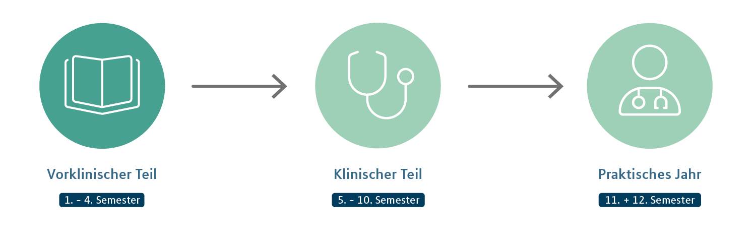 Humanmedizin: Vorklinischer Teil, Icons als Zeitstrahldarstellung