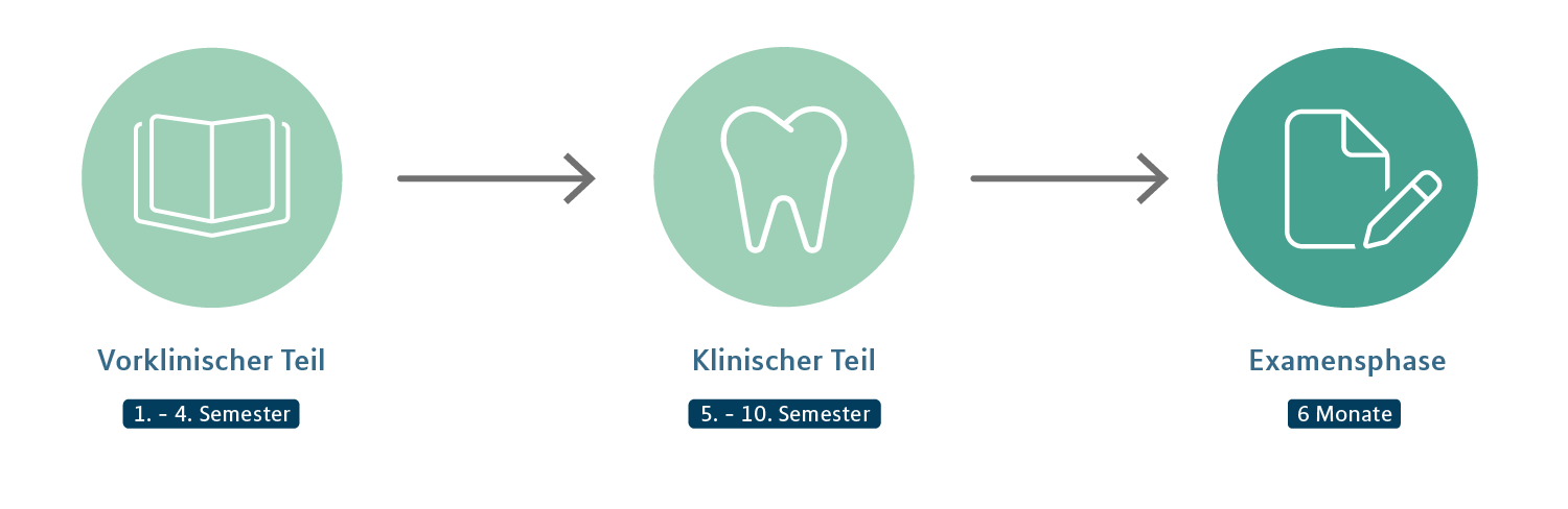 Zahnmedizin Examensphase, Icons als Zeitstrahldarstellung