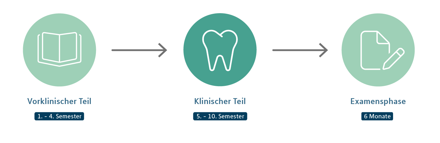 Zahnmedizin: Klinischer Teil, Icons als Zeitstrahldarstellung