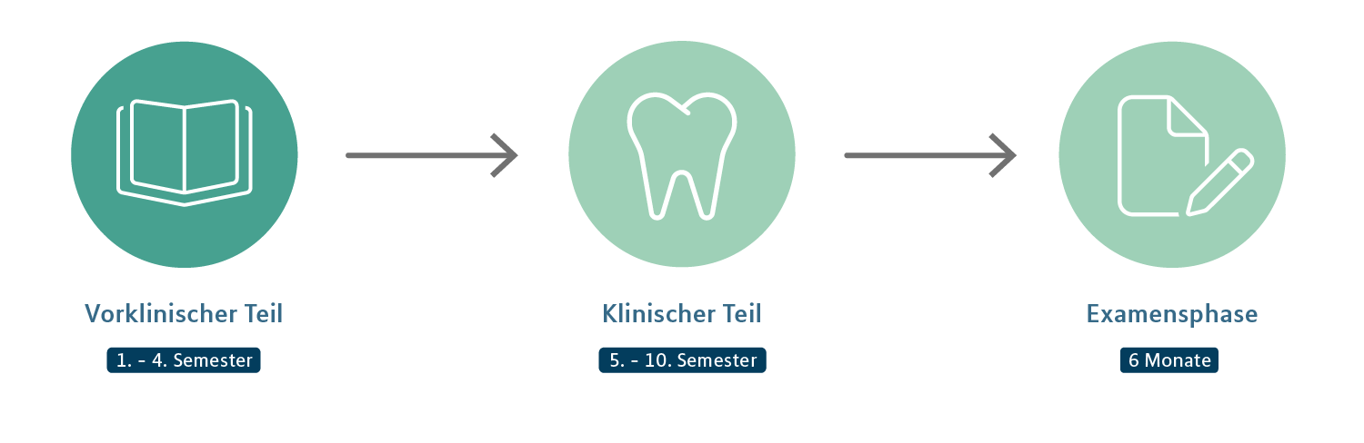 Zahnmedizin: Vorklinischer Teil, Icons als Zeitstrahldarstellung