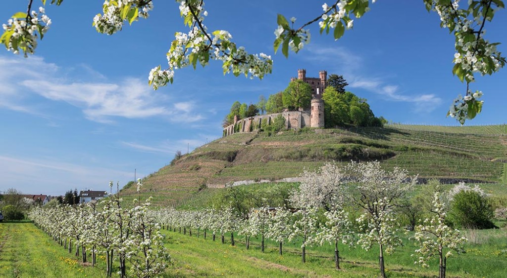 MLP Financify Nürnberg